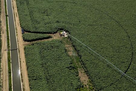 Орошение в Украине 2026: цены, конкуренция за воду, господдержка и новые технологии полива
