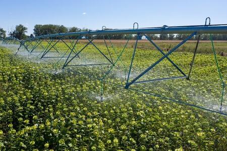State compensation for irrigation implementation increased up to 80%